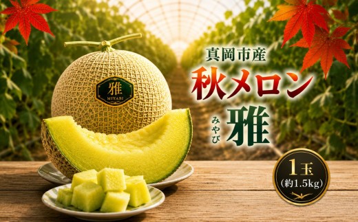 真岡市産 完熟 秋メロン 雅 1玉(約1.5kg)  |先行予約 完熟 果物 秋 メロン フルーツ ギフト  デザート 栃木県 真岡市 送料無料