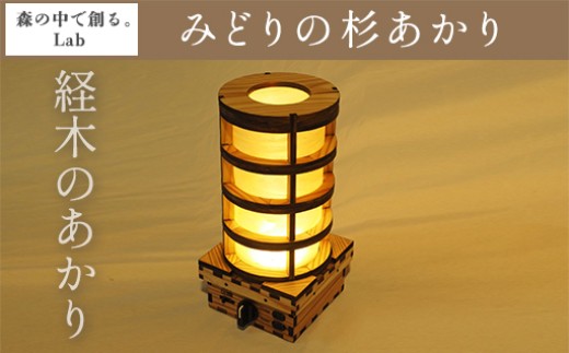 
                  みどりの杉あかり　円筒形タイプ
                