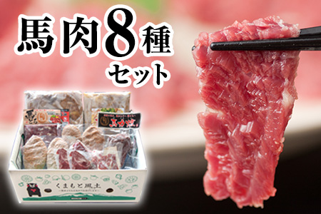 純国産馬肉8種セット 計2200g《30日以内に出荷予定(土日祝除く)》 熊本肥育 2年連続農林水産大臣賞受賞 送料無料 馬刺し 馬肉 馬スジ ホルモン 燻製 霜降り ハンバーグ 熊本県長洲町---ng_fba8syu_30d_r7_25000_2200g---