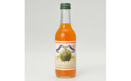 夕張メロンサイダー 24本入　NJ1
