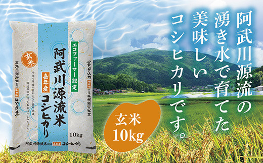 
                  D539 阿武川源流米コシヒカリ玄米10㎏
                