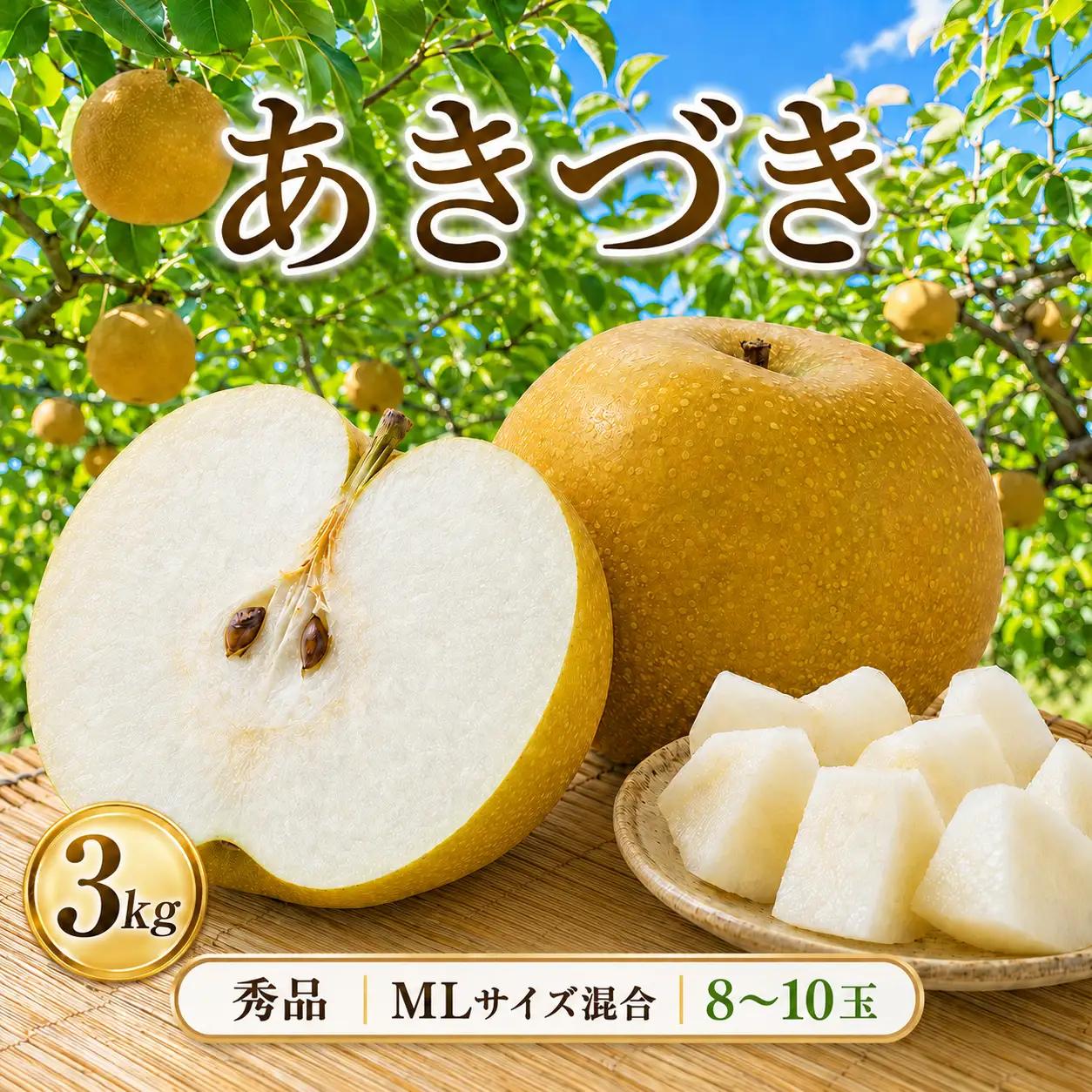  秀品 あきづき 約3kg 梨 栃木県共通返礼品(栃木県産)