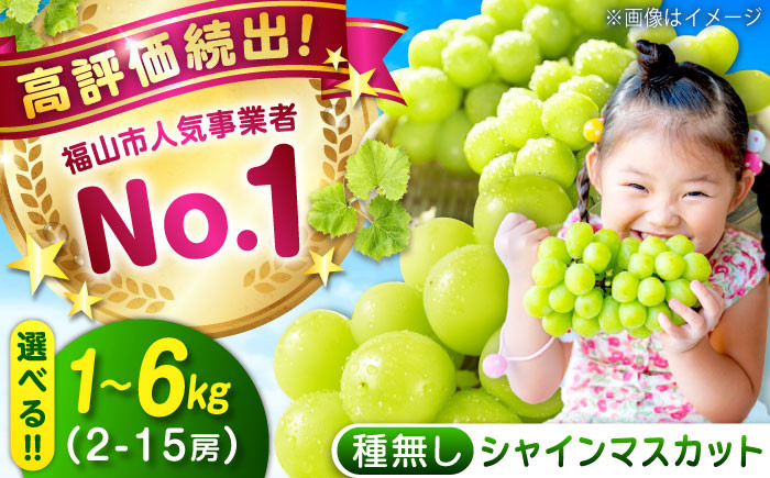 シャインマスカット 4～5房 約2kg（種なし）数量限定 沼隈ぶどう 広島県 福山市 予約 8月下旬～9月下旬頃発送 ぶどう ブドウ 葡萄 マスカット お取り寄せ フルーツ 果物 送料無料 《期間限定》
