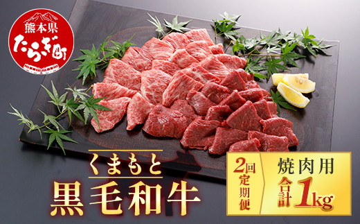 
【定期便2回】くまもと黒毛和牛 焼肉用 500g ×2回配送 ブランド 黒毛和牛 焼肉 焼き肉 やきにく 肉 牛肉 多良木町 国産 和牛 030-0703
