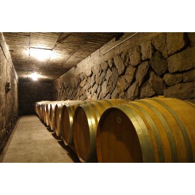 ふるさと納税 笛吹市 トラディショナルスパークリング　カキツバタ　750ml |  | 03