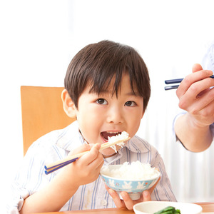 【定期便6ヶ月】新潟市産コシヒカリ 白米 5kg お米 精米 ご飯 代表 自然 飽きない 自信 美味しい 