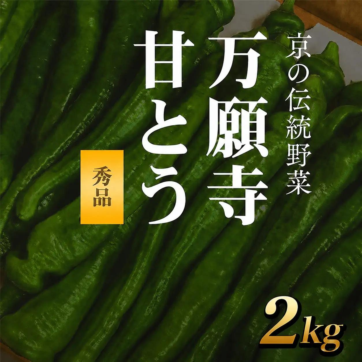 ＜2026年7月より順次発送予定＞ 万願寺甘とう 秀品 計2kg 京都丹の国農業協同組合
