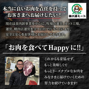 神戸牛カルビ焼肉700g 《 肉 カルビ 神戸牛 焼肉 国産 バーベキュー サシ 和牛 プレゼント ギフト お取り寄せ 送料無料 おすすめ 》