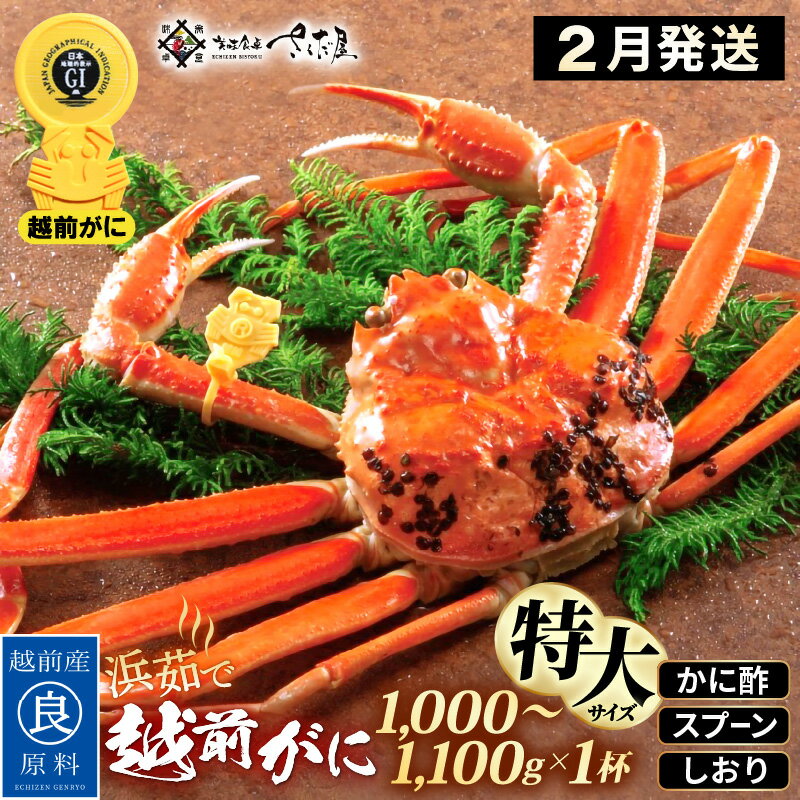 【ふるさと納税】浜茹で 越前がに 特大サイズ（生で1000〜1100g） × 1杯 かに酢 食べ方しおり スプーン付き 【2月発送分】【かに カニ 蟹 ズワイガニ ずわいがに 姿 ボイル 福井県 冷蔵】希望日指定可 備考欄に希望日をご記入ください [e04-x031_02]