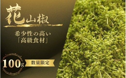  【高級・希少食材】生花山椒 100g 和歌山県産 / 山椒 さんしょう 香辛料 調味料 薬味 高級 和歌山県 紀美野町 料亭【twn030】