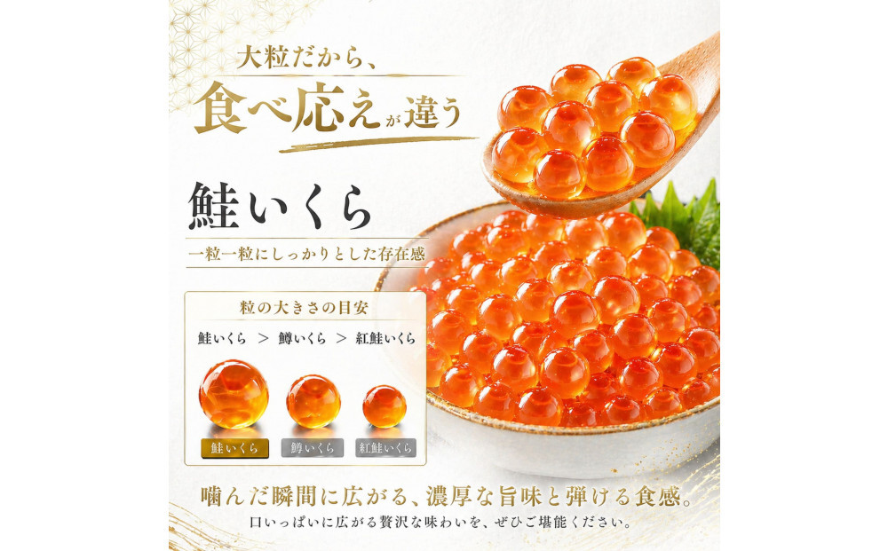 訳あり いくら醤油漬け 鮭卵 冷凍 200g  尾張まるはち