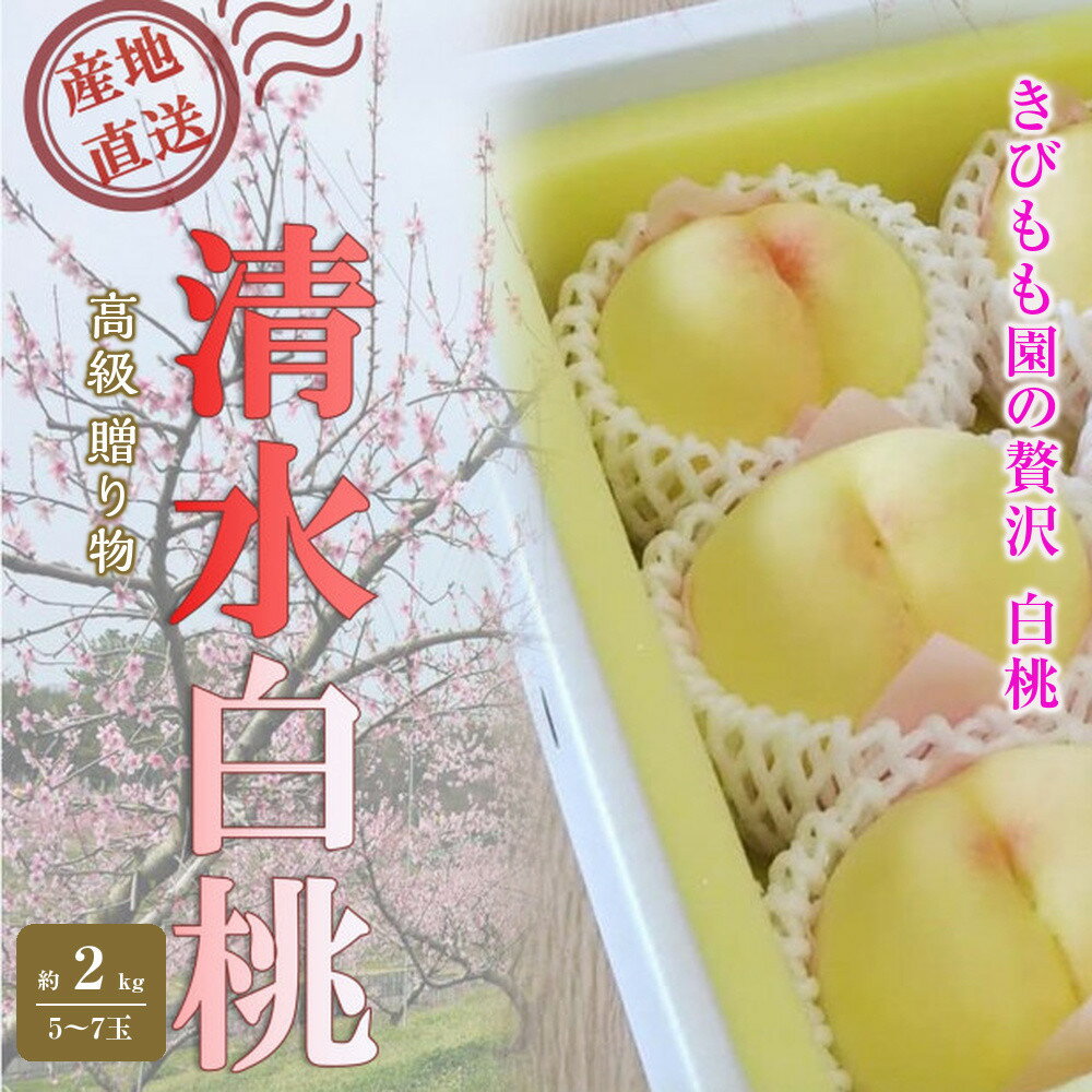 【ふるさと納税】桃 2026年 贈答用 岡山 清水 白桃 約2kg（5～7玉） もも モモ 岡山県 岡山市産 国産 フルーツ 果物 ギフト | もも フルーツ 果物 くだもの 食品 人気 おすすめ 送料無料