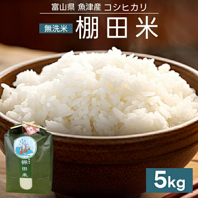 【ふるさと納税】【早期予約】米 令和8年産米コシヒカリ 5kg 無洗米 棚田米 ヤギの杜｜新米 先行予約 予約 米 無洗米 富富富 ふふふ こめ コメ お米 白米 5kg ブランド米 お中元 ギフト ご飯 ごはん 人気 ランキング 北陸 富山 お取り寄せ ※2026年10月上旬～発送