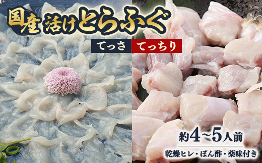 ふぐ鍋セット　国産活けとらふぐてっさ・てっちりセット約4～5人前　ヒレ付き【配送不可エリア注意】【配送不可地域：離島・北海道・沖縄県・東北・関東・九州】