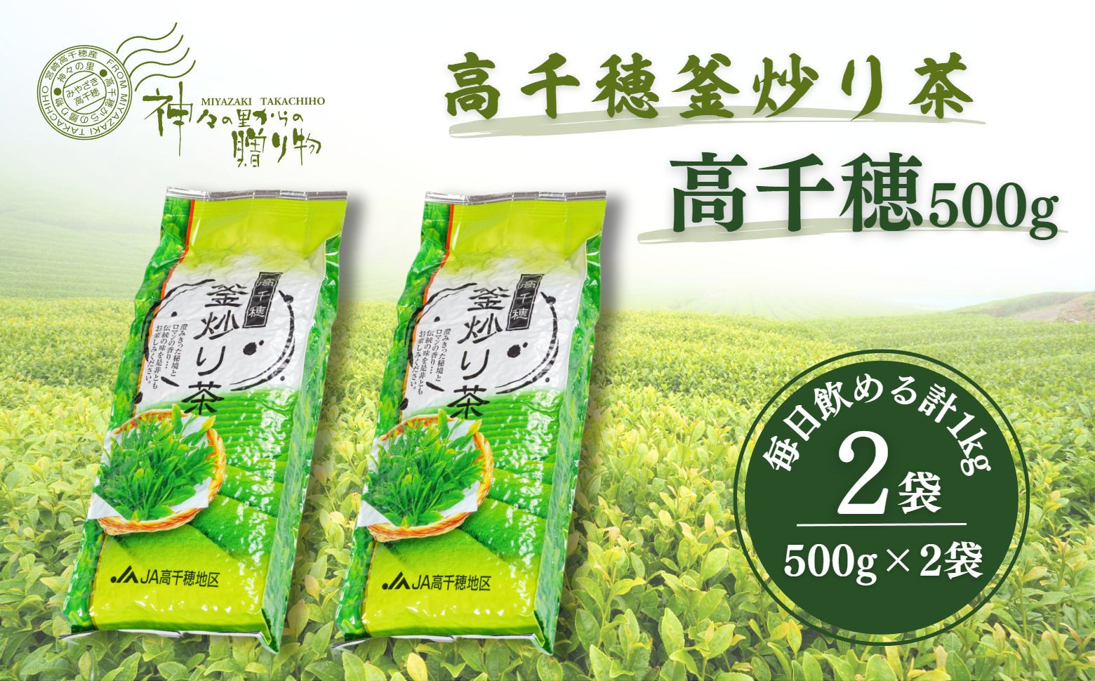 
高千穂釜炒り茶（高千穂）500g×2本詰 宮崎県 高千穂町 厳選 緑茶 A-137
