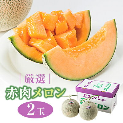 【ふるさと納税】厳選赤肉メロン2玉入箱【1269932】