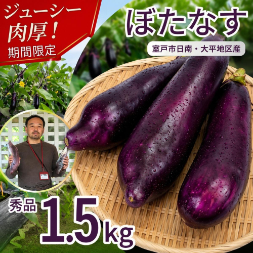【 伝統野菜 ぼたなす 秀品 1.5kg 】 なす ナス ボタナス 焼きナス ナスレシピ 野菜 とろける食感 クリーミー 人気 お取り寄せ 野菜セット 甘い 産地直送 新鮮 野菜 希少 吉良川町 日南 大平 集落活動センター ひなたぼっこ 高知県 室戸市