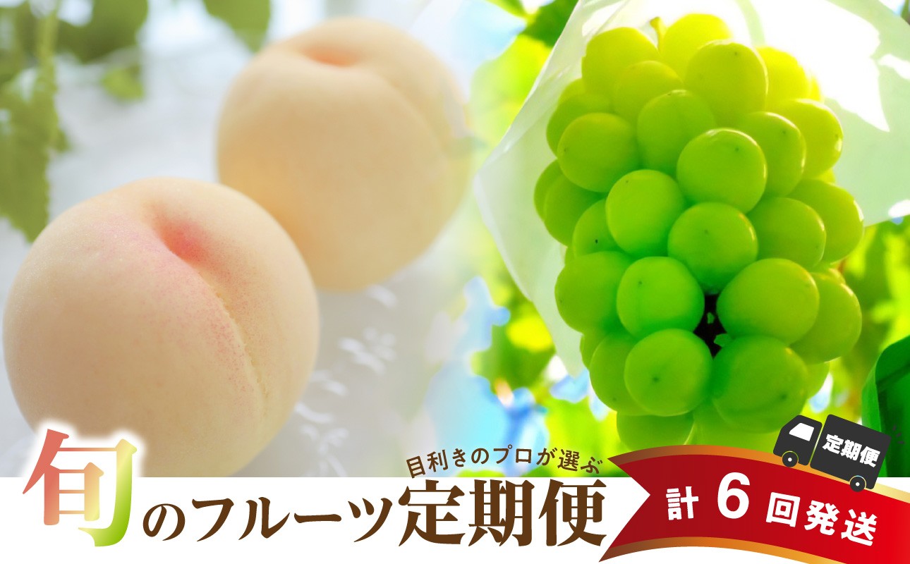 
                  【定期便】岡山県産　桃 約4kg・シャインマスカット 約5kg 計6回発送【先行受付 先行予約 令和9年発送 2027年発送 シャインマスカット シャイン マスカット 晴王 葡萄 ぶどう 白桃 桃 もも 果物 くだもの フルーツ 定期便 】
                