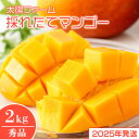 【ふるさと納税】【2025年発送】太陽ファームの採れたてマンゴー2kg(秀品)