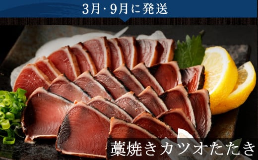 【5回定期便】海からの贈り物!マグロとカツオのお楽しみセット まぐろ カツオのたたき ネギトロ  刺身 海産物 魚介類 鮪 まぐろたたき 鰹 魚 高知県 海鮮 冷凍 コロナ 緊急支援品 訳あり 不揃い