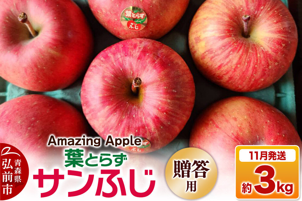 【26年11月下旬発送】りんご 葉とらずサンふじ【贈答用】約3kg [りんご サンふじ 葉とらず ふじ 3kg お歳暮 お中元 ギフト 贈り物 贈答用 アップル おいしい 果実 果物 赤色 美味 葉っぱ 林檎 青森県 弘前市]