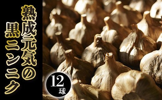 【ふるさと納税】熟成元気の黒ニンニク12球入り　GN-3