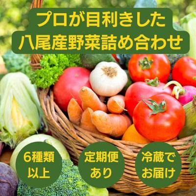 ふるさと納税 八尾市 【定期便】季節の厳選野菜詰め合わせセット(お届け回数:2回)(C218) |  | 01
