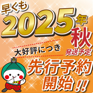 【先行予約】【ふるさと納税】毎月500個限定！令和7年度新米 真岡市産こしひかり（玄米真空パック) 約2kg  | 新米 真岡市産 こしひかり 真空 パック 米  お米 玄米 もちもち ふるさと納税 
