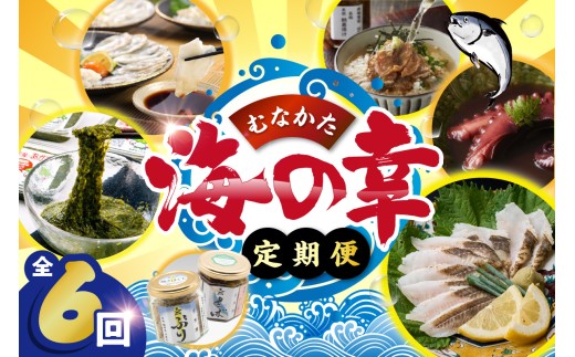 HB0200_【年6回／偶数月お届け】海のまちから「絶品」海産物をお届け!むなかたうみのさち定期便