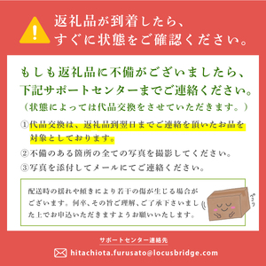 いちご 特大・デラックスサイズ 大粒いちご やよいひめ 2パック