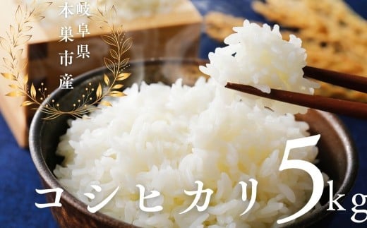 令和7年産 こしひかり 5kg 米 コシヒカリ こめ ごはん 白米 岐阜県 本巣市 お米 無洗米 甘い 和食 寿司 本巣市 17000円 くどみフルーツ農園