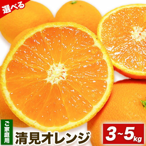 【ふるさと納税】清見 オレンジ 有田 育ちの 濃厚 清見オレンジ 選べる 約 3kg 約 5kg 有田マルシェ ご家庭用《2月月下旬-3下旬頃出荷》和歌山県 日高町 清見オレンジ 柑橘 柑橘類 送料無料