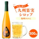 【ふるさと納税】九州を飲む！九州果実シロップ 温州みかん 500ml 1本 果実 シロップ ミカン オレンジ みかん 果汁 はちみつ ハチミツ 送料無料