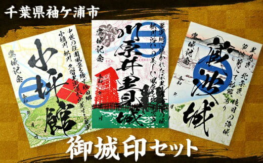 【ふるさと納税】袖ケ浦市「御城印」3枚セット (川原井里見城・小坪館・蔵波城)｜袖ケ浦 城 史跡 歴史 山城 ガール むつみ デザイン カード 城郭 記念 [0418]