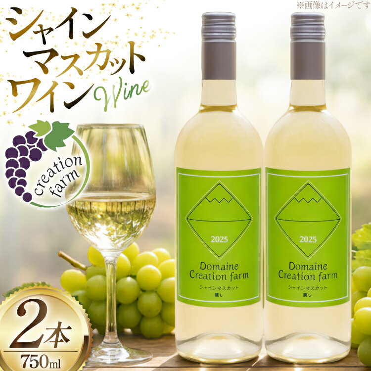 【ふるさと納税】 ワイン シャインマスカット醸しワイン 750ml × 2本 [Creation farm 山梨県 韮崎市 20745403] わいん wine 山梨 山梨ワイン シャインマスカット ワインセット セット お酒 酒 さけ 甘口 洋酒