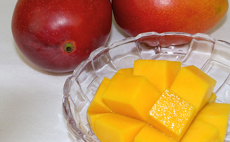 【2026年発送】　ご家庭で美味しく！アップルマンゴー約1kg【つは農園】 フルーツ 果物 期間限定 数量限定 先行予約 南国 プレゼント お土産 おみやげ ギフト くだもの 季節 おきなわ 青果 デ