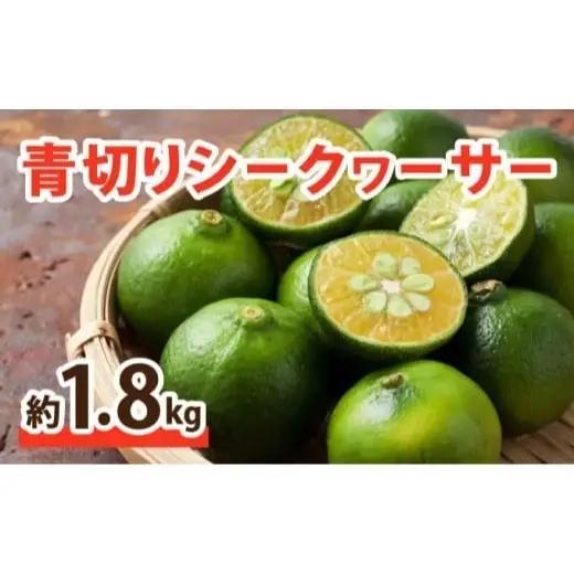 【2027年先行予約】青切り シークヮーサー 約1.8kg 
