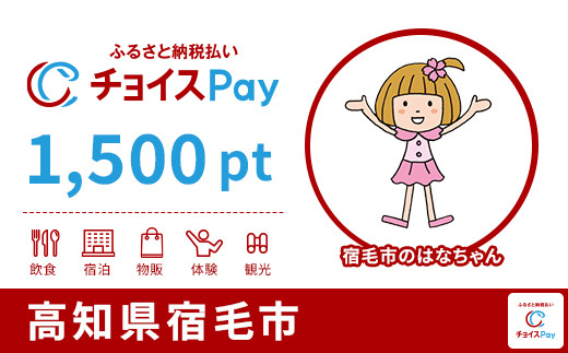 
            宿毛市チョイスPay 1,500pt【会員限定のお礼の品】
          