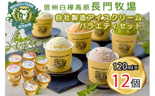 
                  長門牧場アイスクリーム12個セットA-2　6種のフレーバー詰め合わせ（バニラ、チョコレート、抹茶、ヨーグルト、いちご、あんず）　人気スイーツ　濃厚ミルク　直送　牛乳　生乳　国産　夏ギフト　長野県　贈答品　お土産　お中元　お歳暮　クリスマス
                