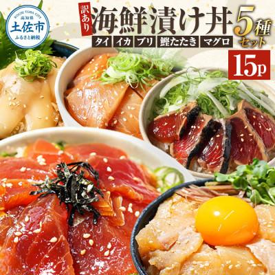 ふるさと納税 土佐市 【訳あり】土佐の海鮮漬け丼 5種 各3袋セット 海鮮丼の具
