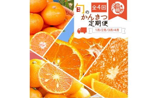 
            【全4回】紀州和歌山産旬のご家庭用柑橘セット(みかん・不知火・せとか・清見)【tkb412】
          