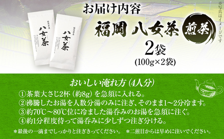 福岡 八女茶 煎茶 200g（100g×2袋）お茶 緑茶 原野製茶 奥八女 八女 茶葉 福岡県 福岡 九州 グルメ お取り寄せ メール便（ポスト投函）
