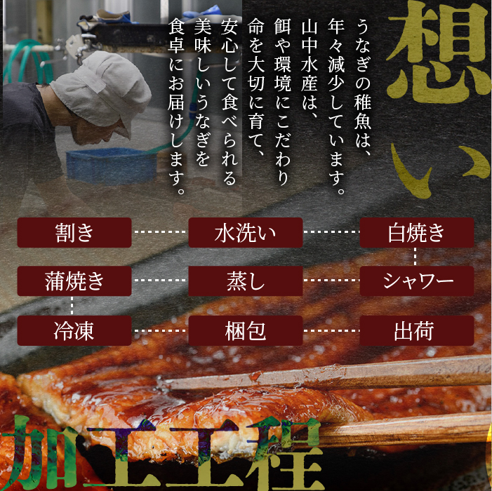 【鹿児島県産】鰻の蒲焼(無頭背開き)約165g×2尾(山中水産/016-1065) うなぎ 国産 鹿児島 蒲焼 丑の日 丑 土用丑の日