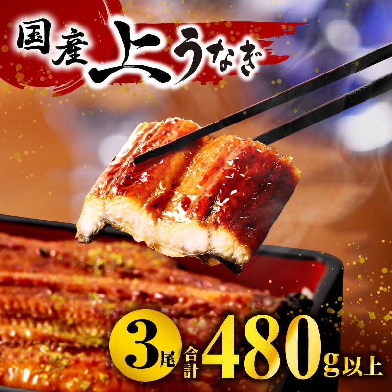 国産うなぎ蒲焼3尾(計480g以上) 国産うなぎの御結び付きで年内お届け