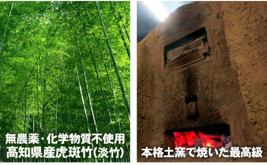 【 10袋 セット 】虎竹炭 パウダー ( 10ミクロン ) 50g 天然 健康 デトックス TT090