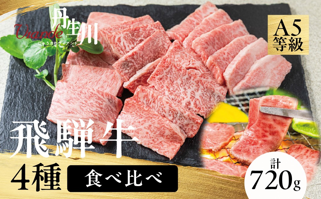 
                  4種食べ比べ！飛騨牛 A5等級 焼肉 720ｇ | 黒毛和牛 牛肉 焼肉セット ブランド牛 希少部位 冷凍牛肉 個包装 焼肉 丹生川精肉 JJ012VC14
                