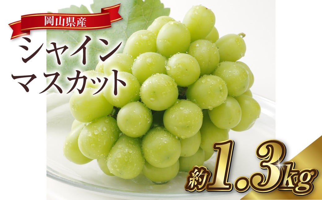 
                  シャインマスカット 2～3房（合計約1.3kg）果物 ぶどう フルーツ デザート スイーツ 高糖度 甘い 種なし 大粒 人気 皮ごと【2026年8月下旬～9月下旬発送予定】
                
