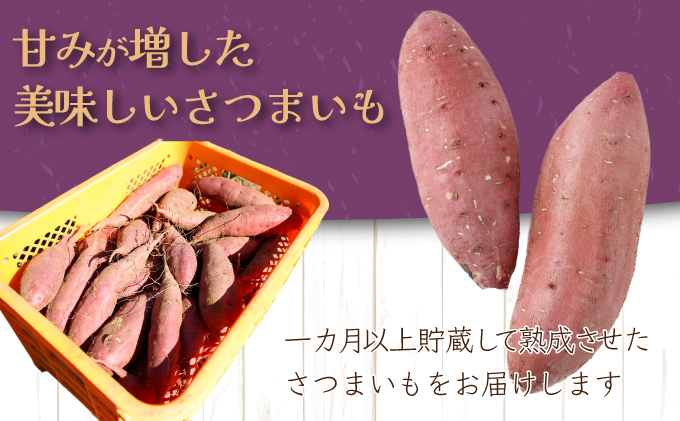 【先行予約】掘りたて！あま〜い新さつまいも（紅まさり）2.5ｋｇ 芋 さつま芋 野菜 サツマイモ 故郷納税 送料無料