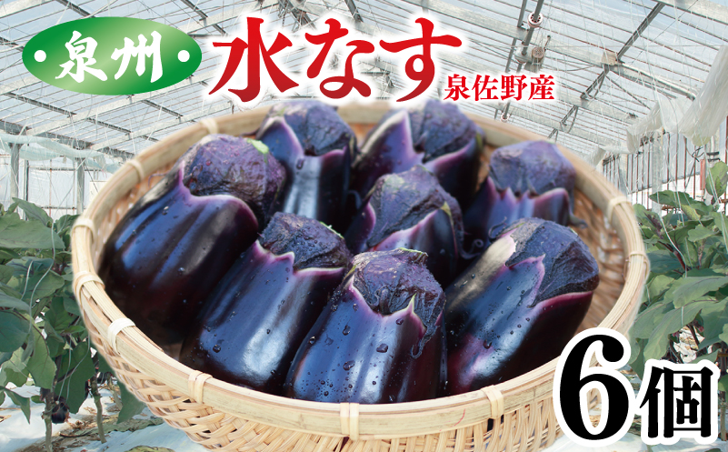 泉州 泉佐野市産 ハウス水なす 6個【茄子 泉佐野産 とれたて 新鮮野菜 やさい 高評価 数量限定 大阪 泉佐野 大阪府 泉佐野市】