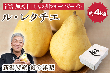 【2025年先行予約】新潟特産 幻の洋梨ル・レクチェ 【赤秀品】約4kg（9～12個）《11月下旬～お届け》